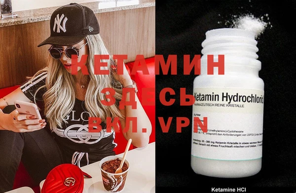 PSILOCYBIN Белокуриха