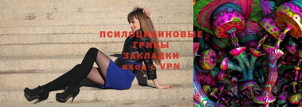 PSILOCYBIN Белокуриха