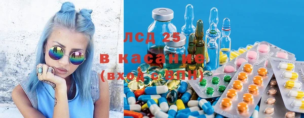 PSILOCYBIN Белокуриха