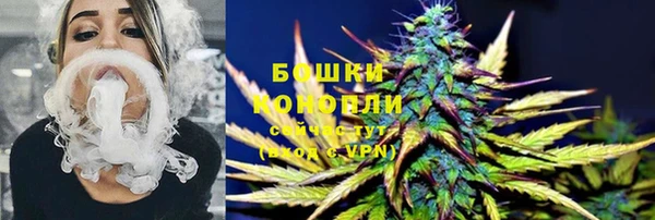 PSILOCYBIN Белокуриха