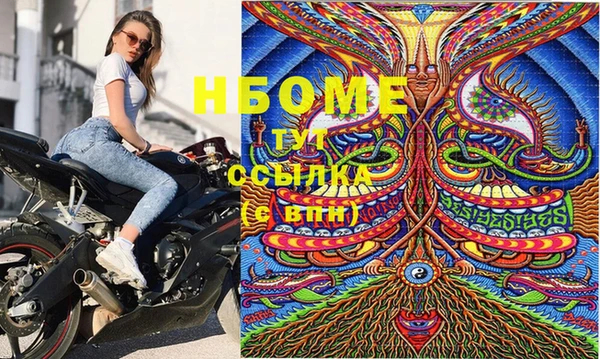 PSILOCYBIN Белокуриха