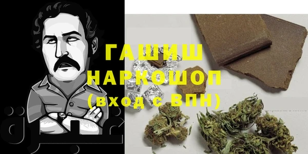 PSILOCYBIN Белокуриха