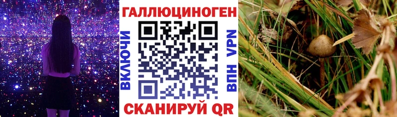сколько стоит  Жуковский  Псилоцибиновые грибы ЛСД 