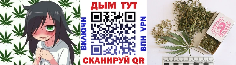 Конопля MAZAR  цена   Жуковский 
